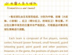 28圈- 德布劳内进球集锦 